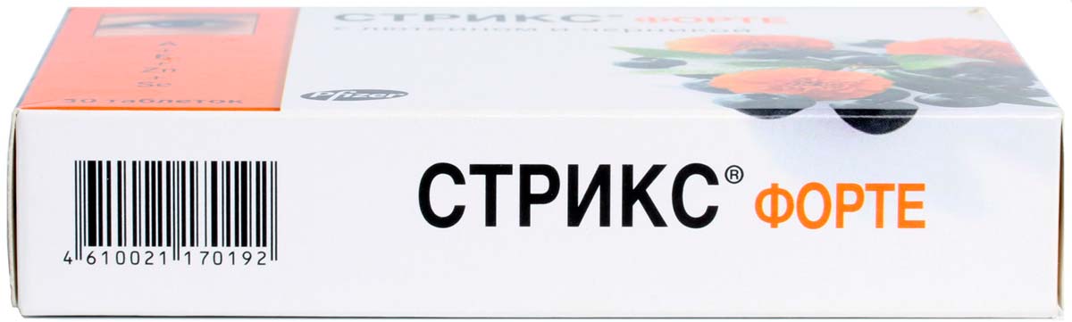 Стрикс Москва